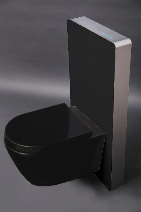 WC komplet pakke 33: WC B-8030R Sort